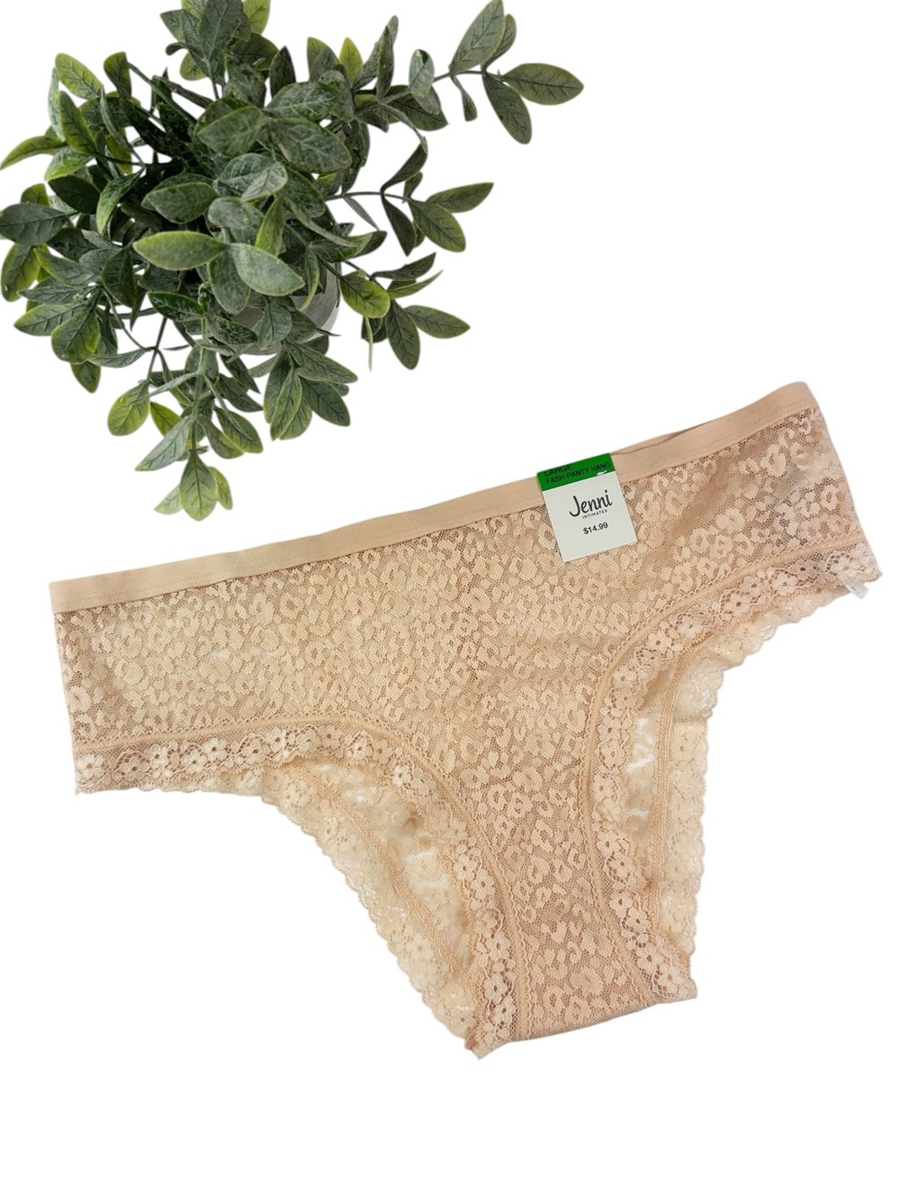 Jenni by Jennifer Moore Lace Bikini Panty in Nude Size Large